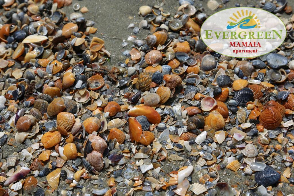 Evergreen Vlas Mamaia Sud Ngoại thất bức ảnh